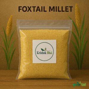 Foxtail millet (কাউনের চাল)