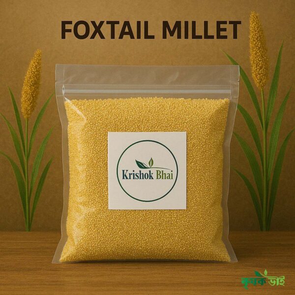 Foxtail millet (কাউনের চাল)