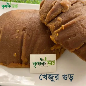 খেজুর গুড়