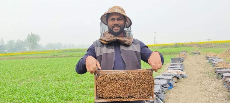 honey