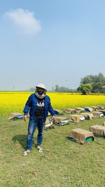 মধু