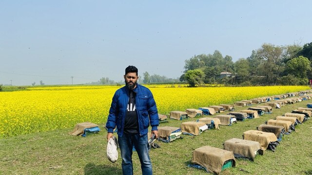 honey bangladesh