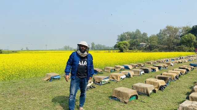 honey in bangladesh